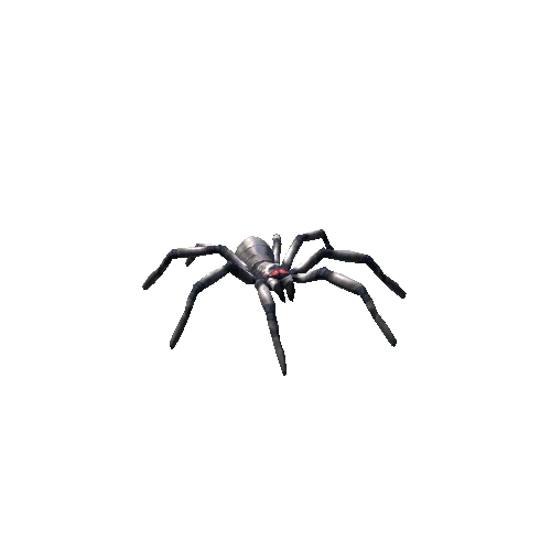 spider fat_03